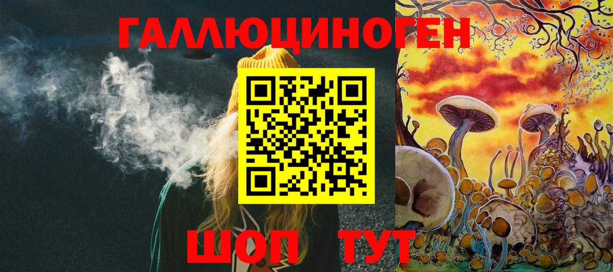 Галлюциногенные грибы Cubensis Пугачёв