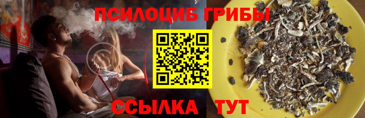 Галлюциногенные грибы ЛСД  Галлюциногенные грибы ЛСД  Вход с VPN  Пугачёв 